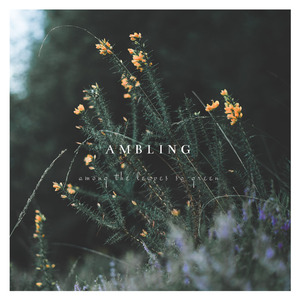 Angels We Have Heard on High