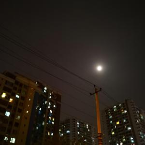 梦