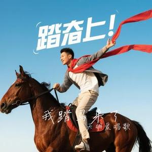 我踏马来了（Cover 饶天亮）