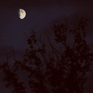 GOD BLESS THE DEAD .