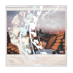 ’蝴蝶夢butterfly‘DREAM