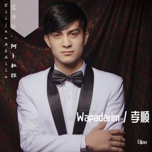 sanam walisi/赛乃姆