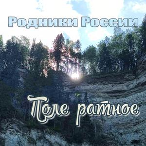 Поле ратное