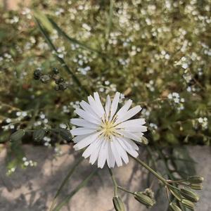 孤单北半球（钢琴）