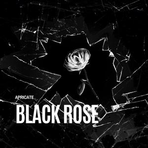 Black Rose
