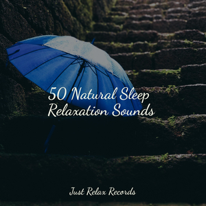 Midnight Moonwalker's Lullaby