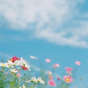 期待下一次拥抱