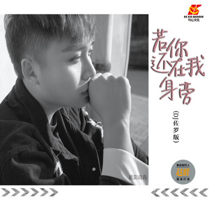 若你还在我身旁 (DJ佐罗版)