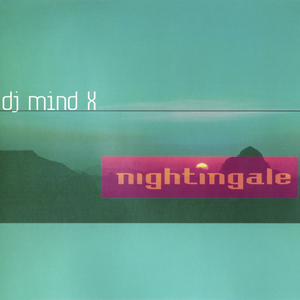 Nightingale (Original Airplay Mix)