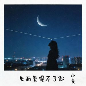 失而复得不了你