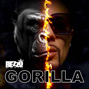 Gorilla
