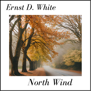 North Wind (Felt Version)