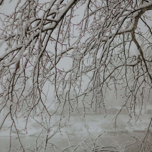 не надо (prod.by Фиолетовый Босс)