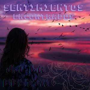 Sentimientos Encontrados