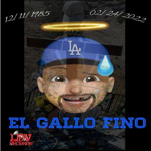 El Gallo Fino