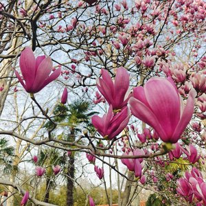 愿你活出生命的精彩（1）