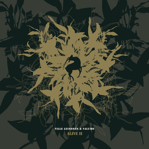 Aamuyöllä (Live from Tanssisali Lutakko, Jyväskylässä, Finland/2005)