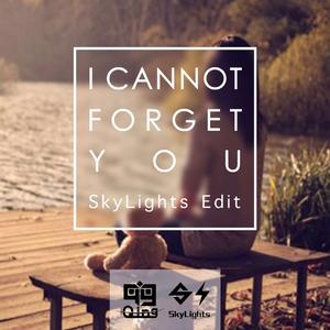 I Cannot Forget You