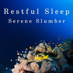 At the Side of the Moon