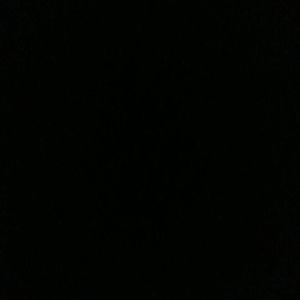 《红颜旧梦的暮秋余晖》