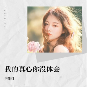 我的真心你没体会 (DJ欧东版伴奏)