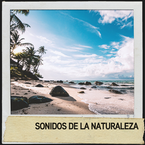 Salpicaduras de ondas suaves