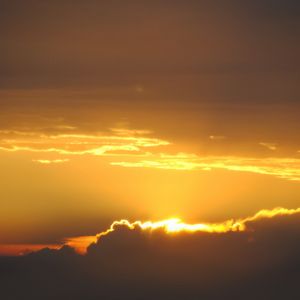 哭了笑了哼着歌 伴奏