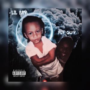 FlyGuy