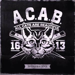 A.C.A.B. All Cats Are Beautiful (with SU.GROB)
