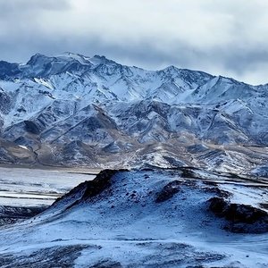在金昌这片土地上