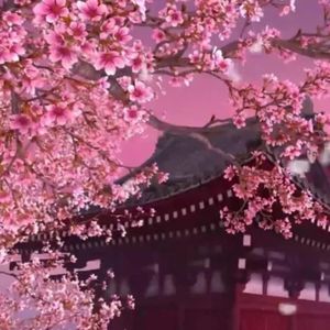 高山-整曲 伴奏