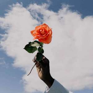 半只兔子半头狮子（prod.by Xiangyue)