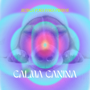 Universo A Cuatro Patas