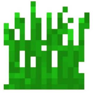 小草（弦乐四重奏版）