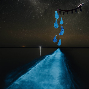 El Inesperado Viaje de una Lágrima