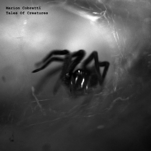 Sandworm (Original Mix)