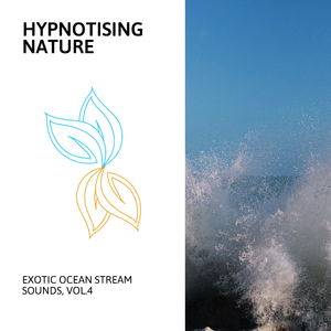 Morning Peaceful Sea Waves