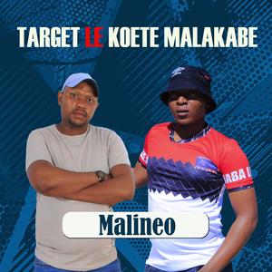 Malineo
