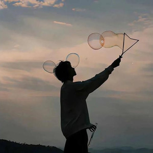 狼队指挥交通 (苏乐乐 remix)