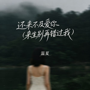 还来不及爱你（来生别再错过我）