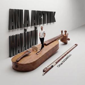 Anla Artık Halimi