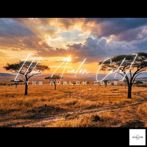 アフリカサバンナ