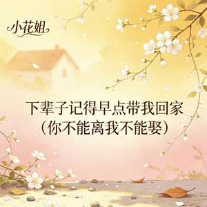 下辈子记得早点带我回家（你不能离我不能娶）