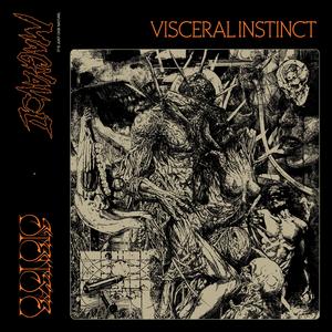 Visceral Instinct