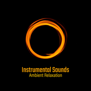 Piano Sonata in B-Flat Major, K. 333: II. Andante cantabile