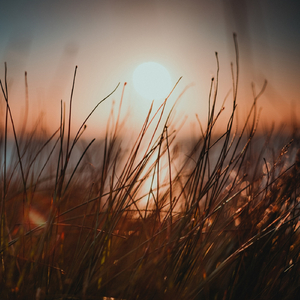 Distorted Reflection