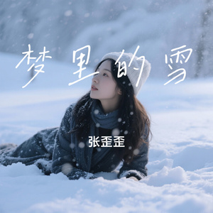 梦里的雪