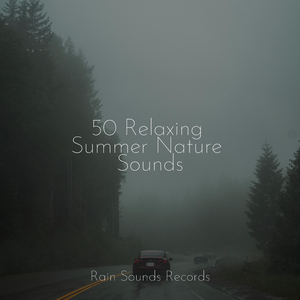 Mossy Melancholy Melodies