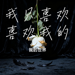 我只喜欢喜欢我的