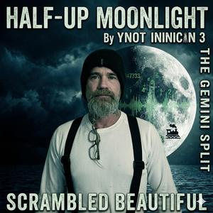 Half-Up Moonlight